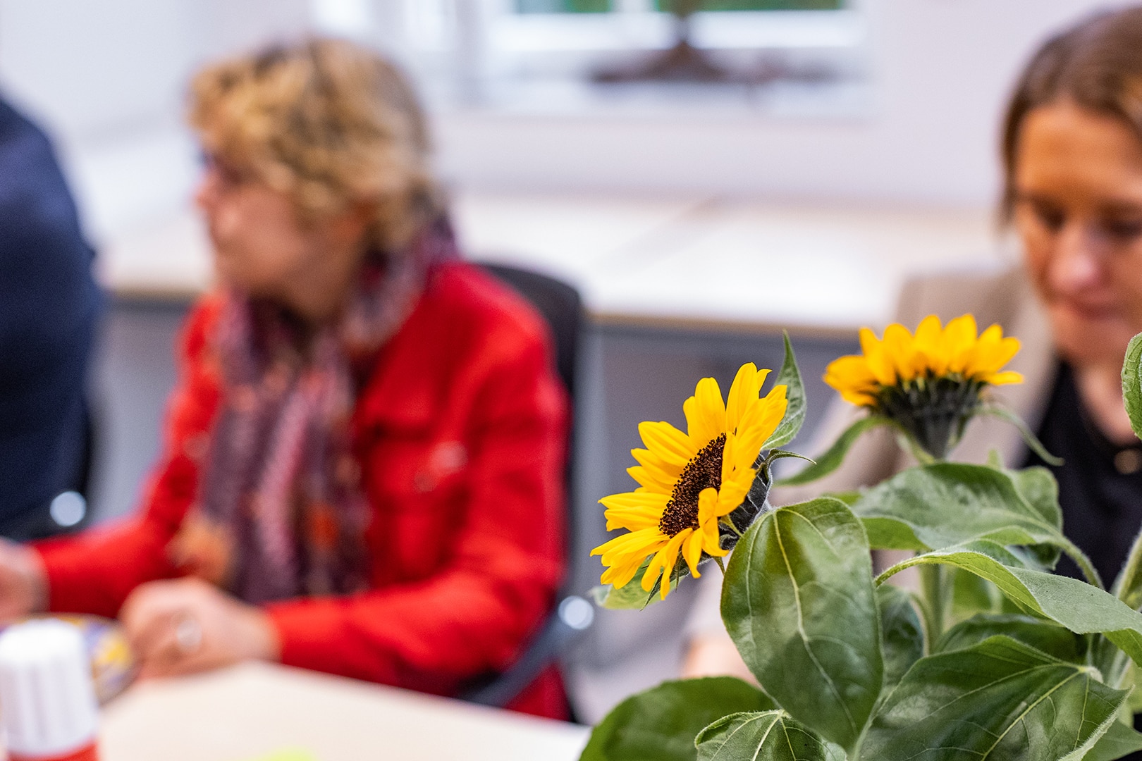 Sonnenblumen vor verschwommenem Hintergrund mit pflegenden Fachkräften im Gespräch, symbolisieren Wärme und Trost